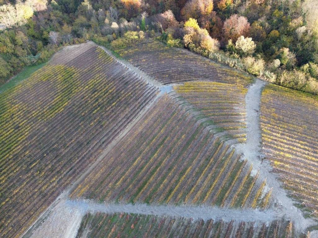 Terreno a Serralunga d'alba in Via Roma - Foto 3