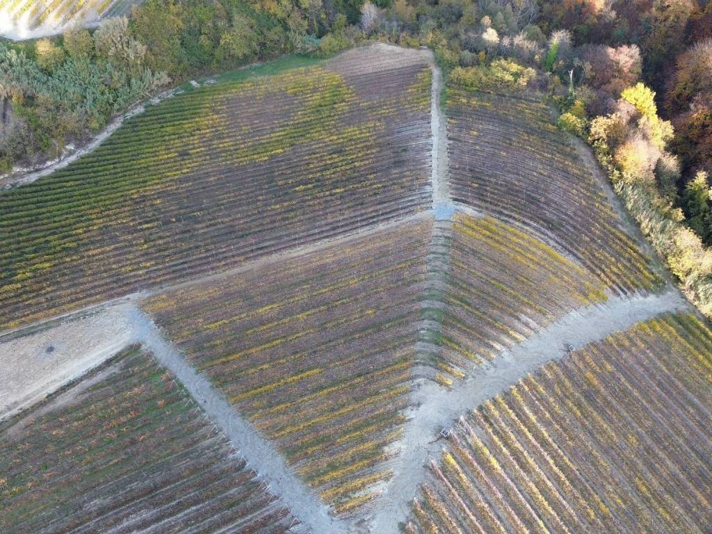 Terreno a Serralunga d'alba in Via Roma - Foto 4