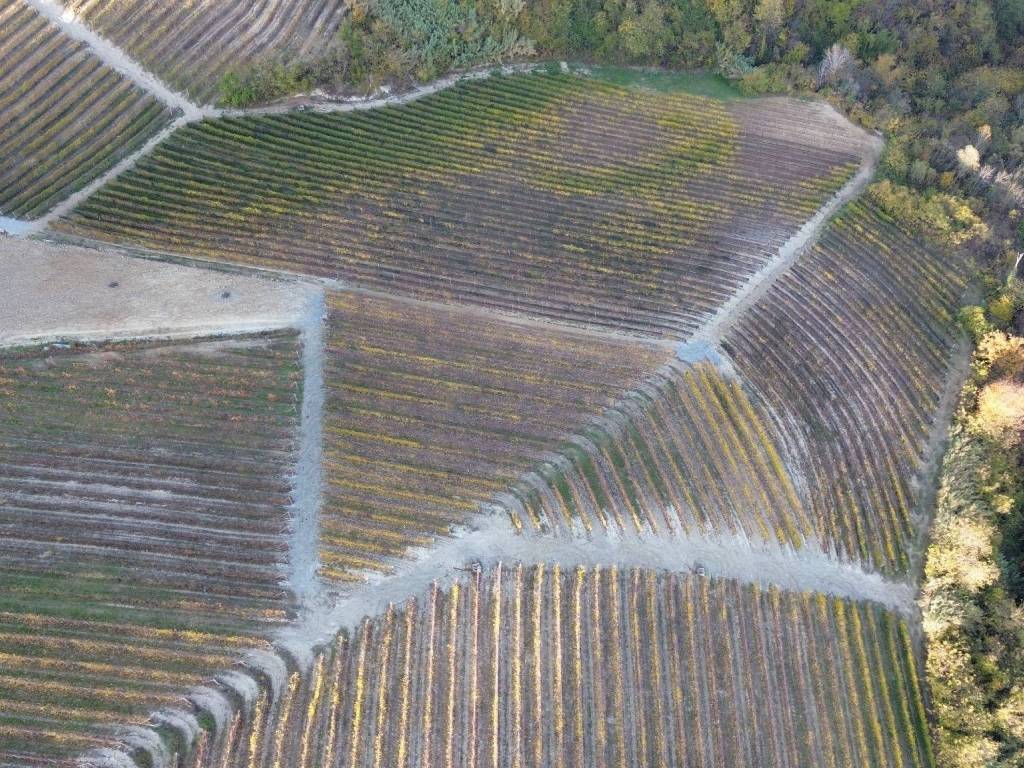 Terreno a Serralunga d'alba in Via Roma - Foto 5