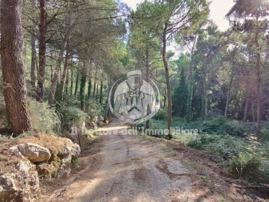 Villa a Monreale in Via Esterna Sant'Elia - Foto 5