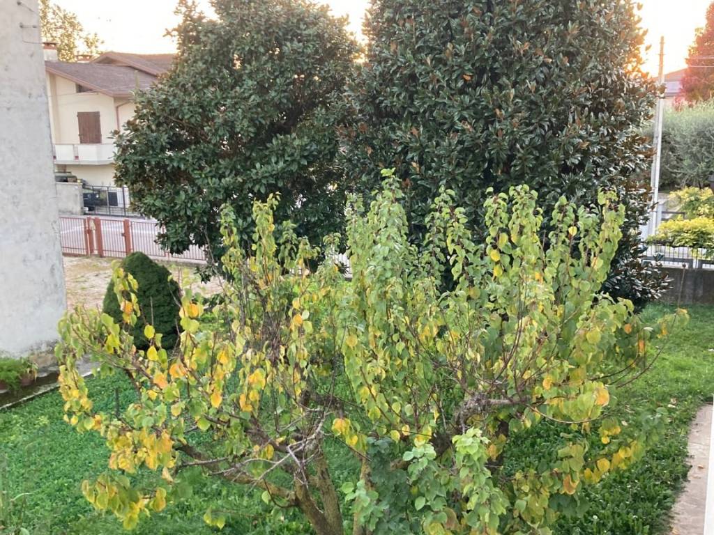 Villa a Torri di quartesolo - Foto 4