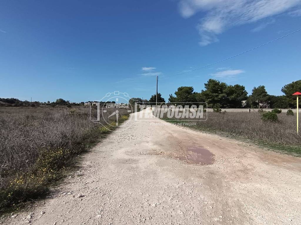 Terreno a Scorrano in Strada Vicinale Murge di Sotto 1 - Foto 2