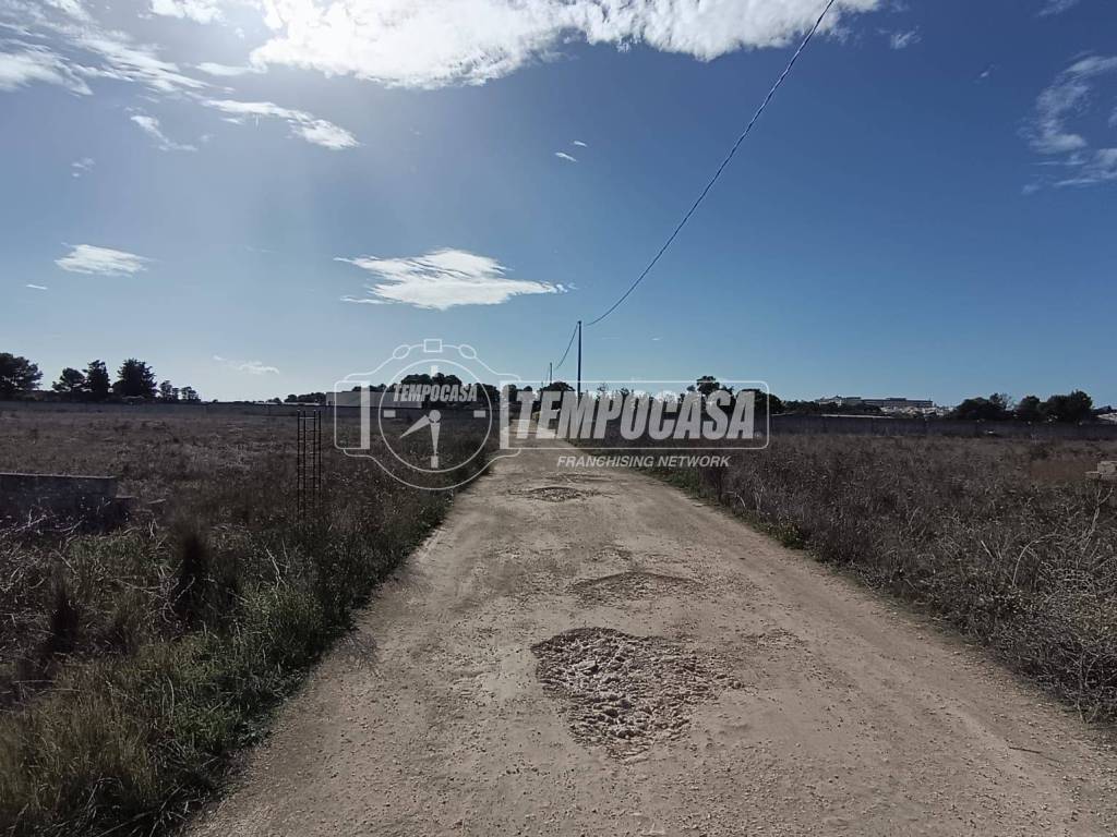 Terreno a Scorrano in Strada Vicinale Murge di Sotto 1 - Foto 4