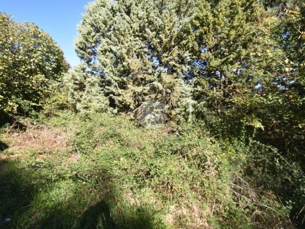 Terreno a Torchiara in Via Nazionale, 23 - Foto 4
