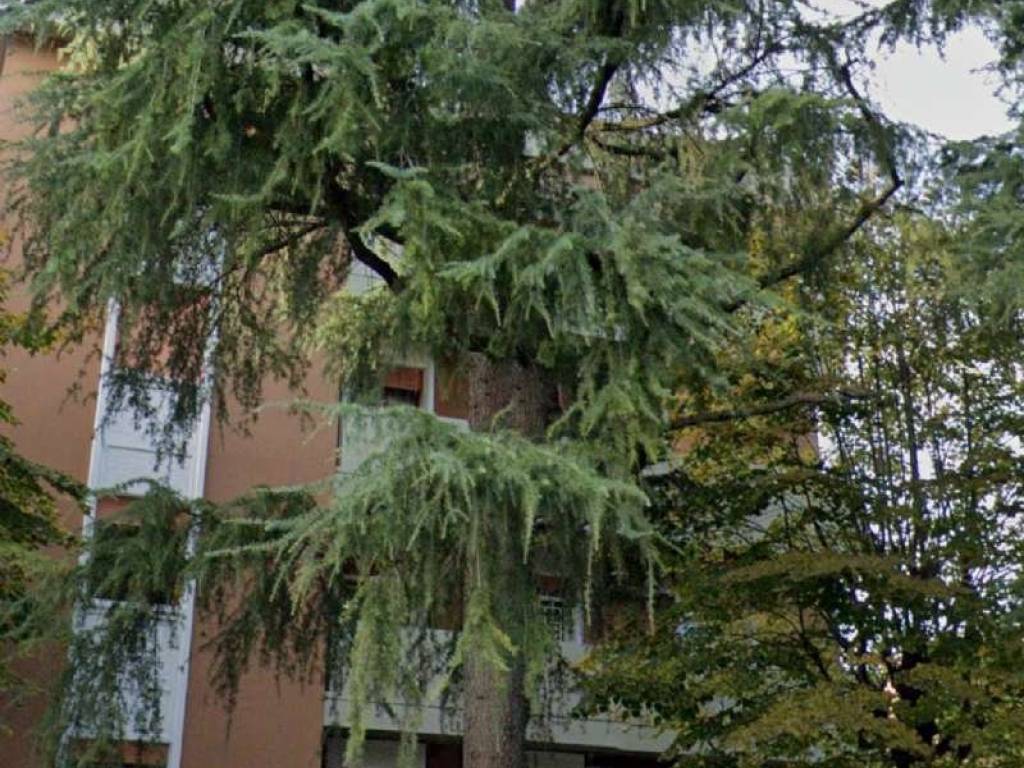 Appartamento a Castenaso in via Sacco e Vanzetti 4 - Foto 2