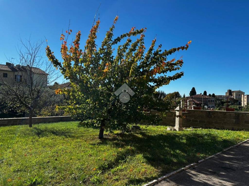 Villetta a schiera a Farnese in Via Cuzzoli e Cortellessa, 45 - Foto 3