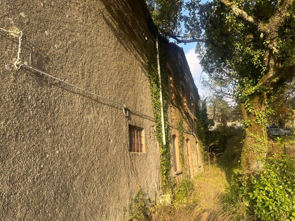 Rustico / casale a San venanzo - Foto 3