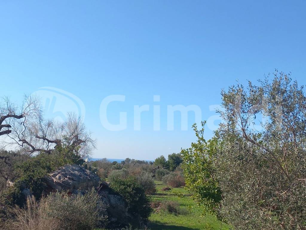 Terreno a Ugento in Contrada Romani, 2 - Foto 4