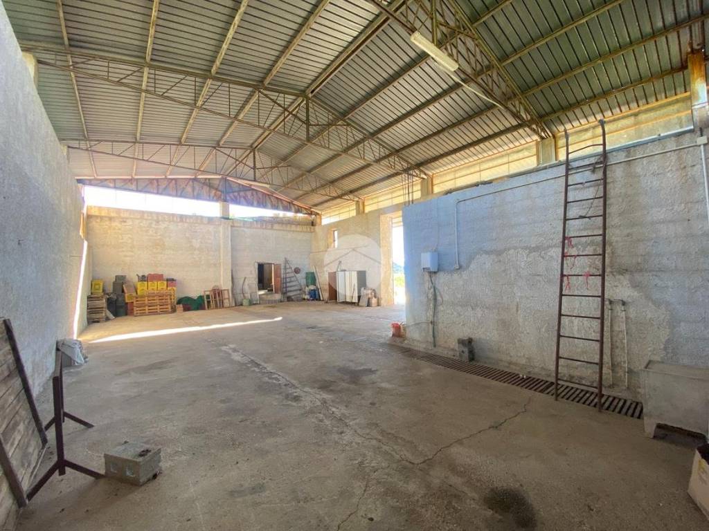 Immobile a Capaccio paestum in Via Feudo la Pila, 1 - Foto 5