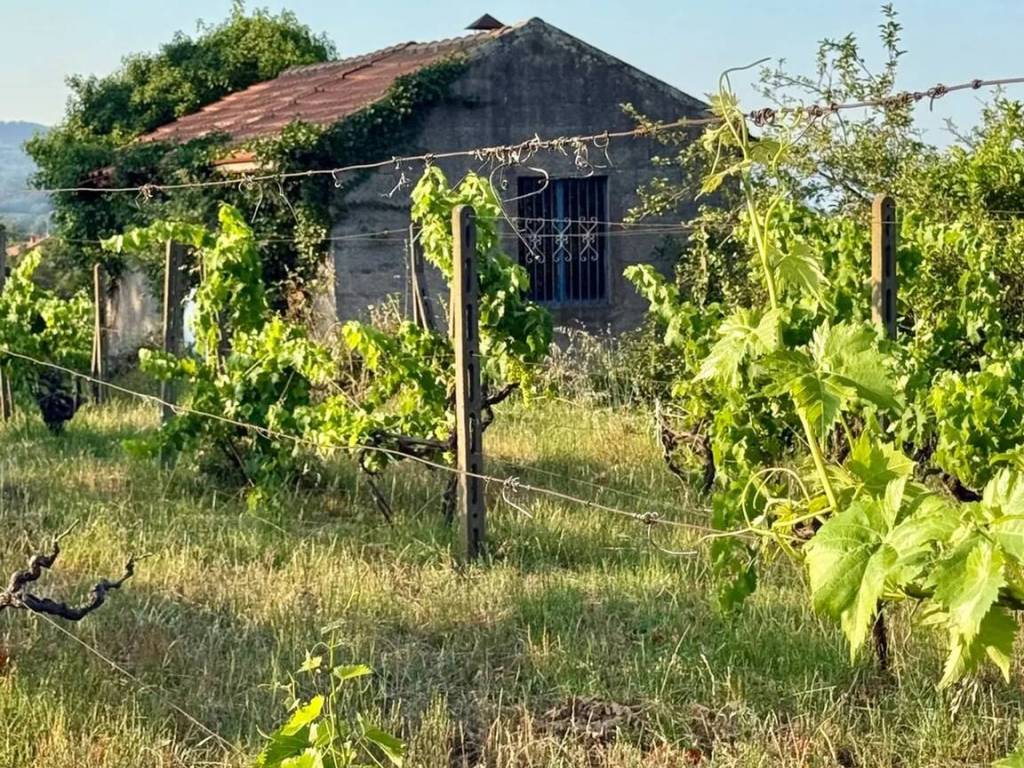 Rustico / casale a Zafferana etnea in Via Nuova Scacchiere No Number - Foto 2