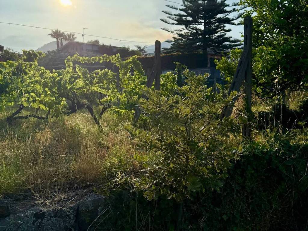 Rustico / casale a Zafferana etnea in Via Nuova Scacchiere No Number - Foto 4