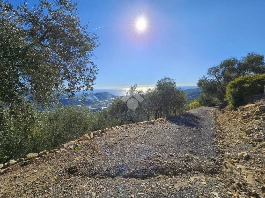 Terreno a Taggia in Regione Tuvi - Foto 3