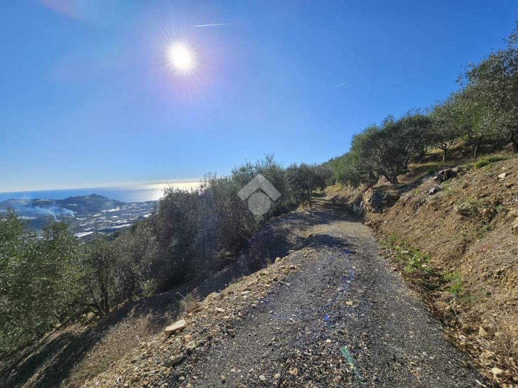 Terreno a Taggia in Regione Tuvi - Foto 4