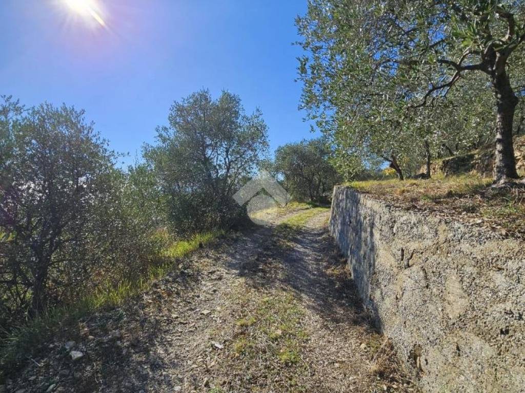 Terreno a Taggia in Regione Tuvi - Foto 5