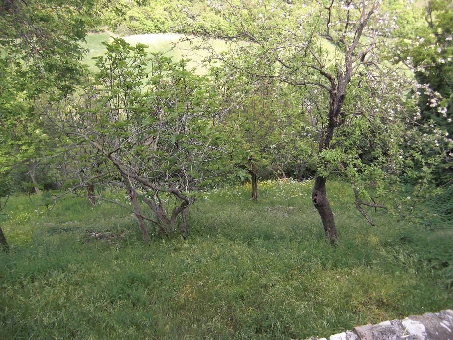 Rustico / casale a Spoleto in Località Borgiano - Foto 3