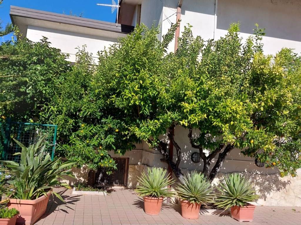 Villa a Ortona in Cappellini - Foto 3