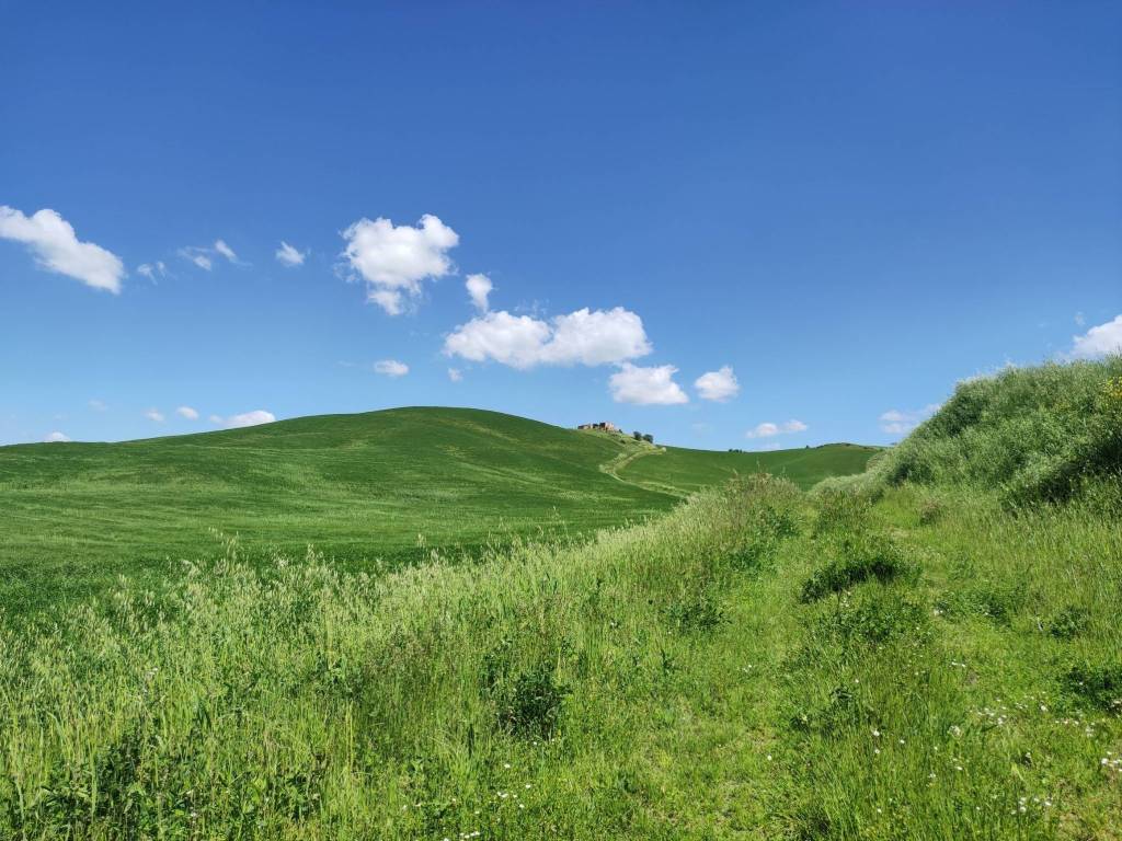 Rustico / casale a Asciano - Foto 4