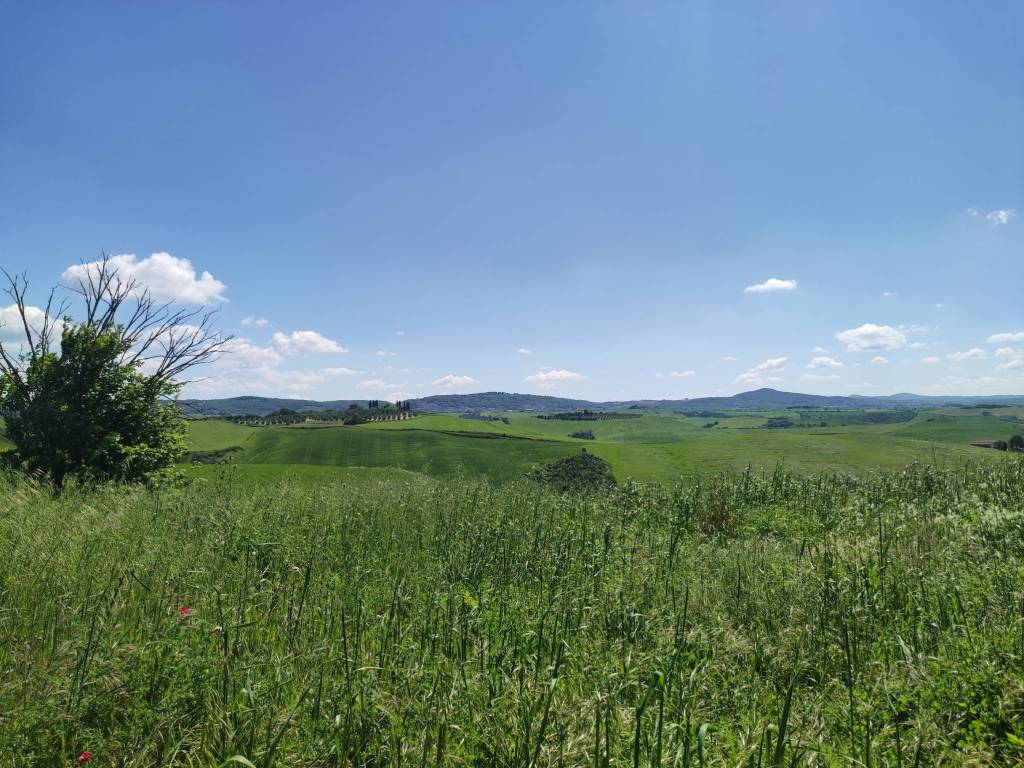 Rustico / casale a Asciano - Foto 5