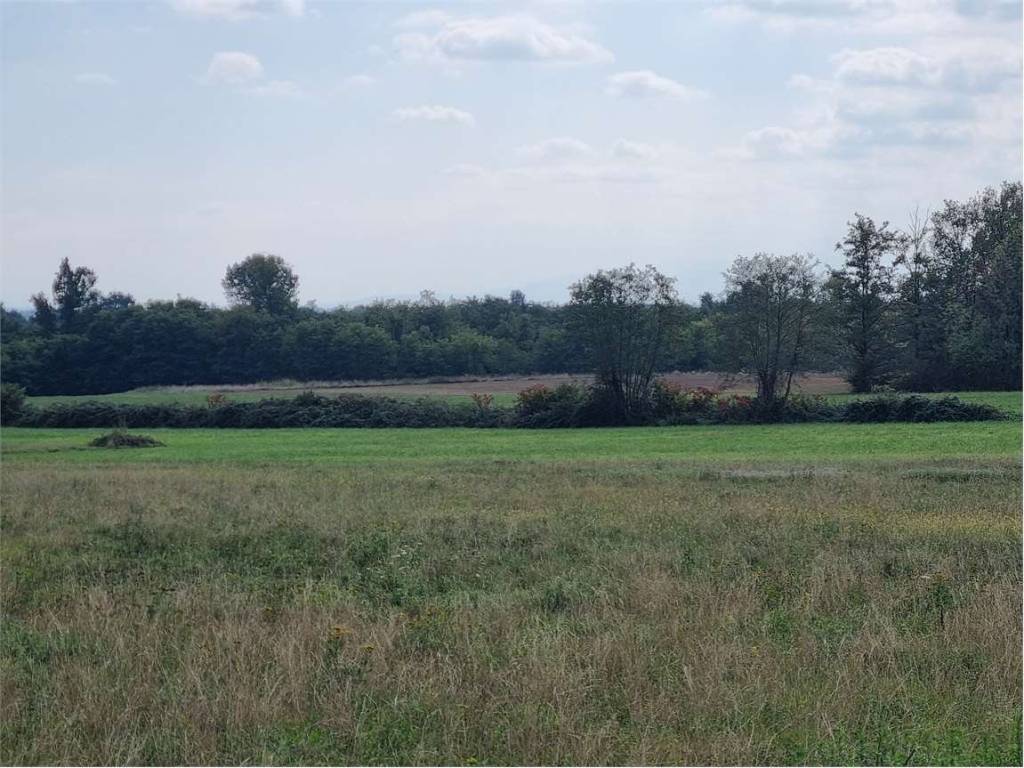 Terreno a Cumiana in borgato ruata ponsino - Foto 4