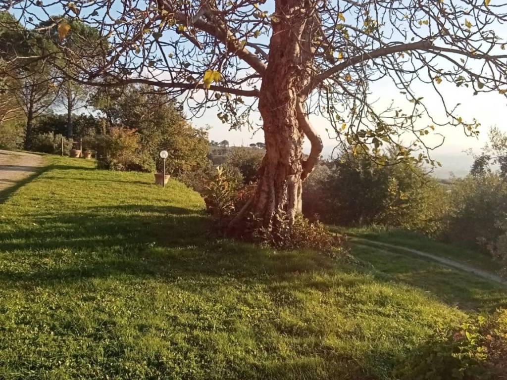 Rustico / casale a Vinci - Foto 5