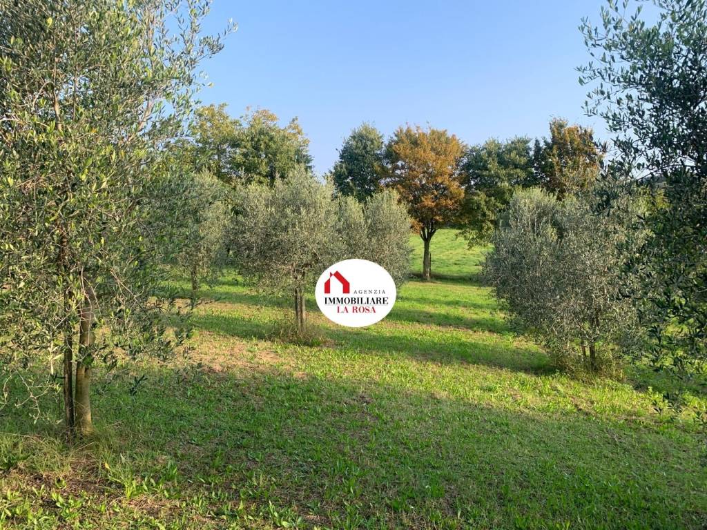 Terreno a Calvagese della riviera in Località Pineta - Foto 2
