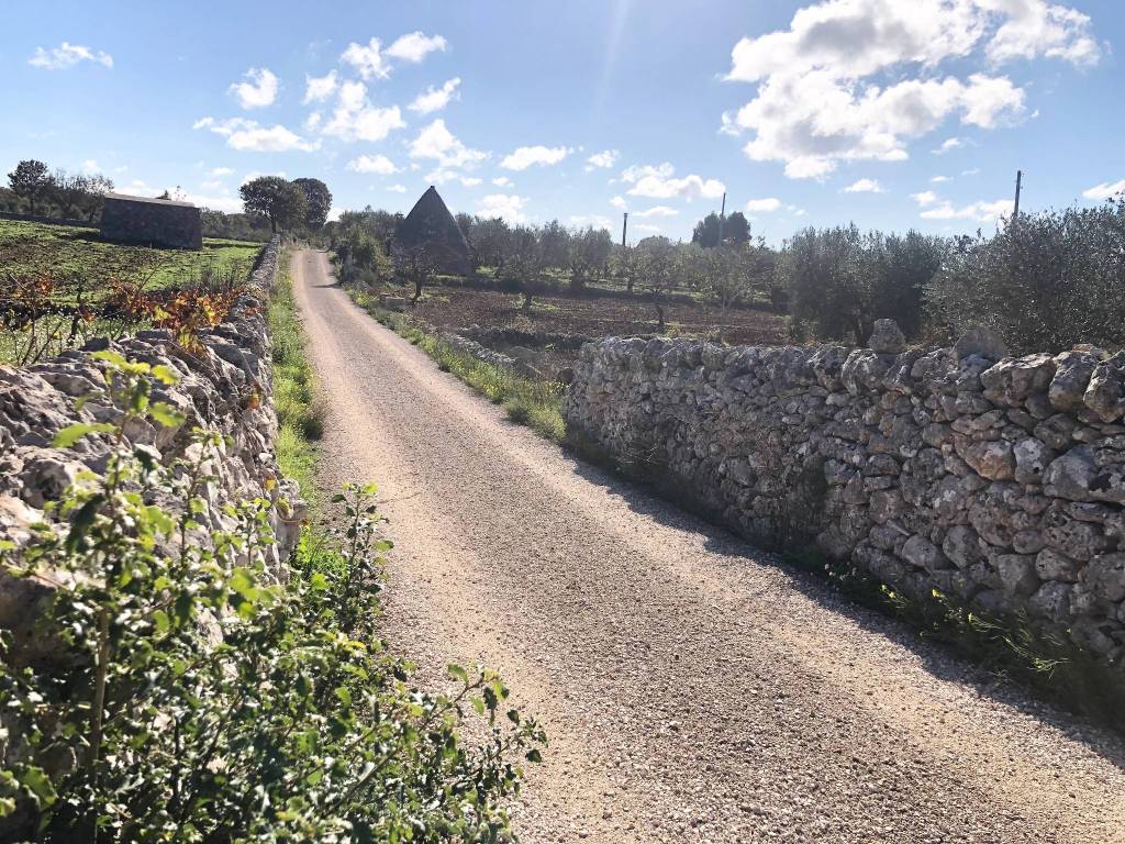 Rustico / casale a Noci in Strada Vicinale Boccardo - Foto 3