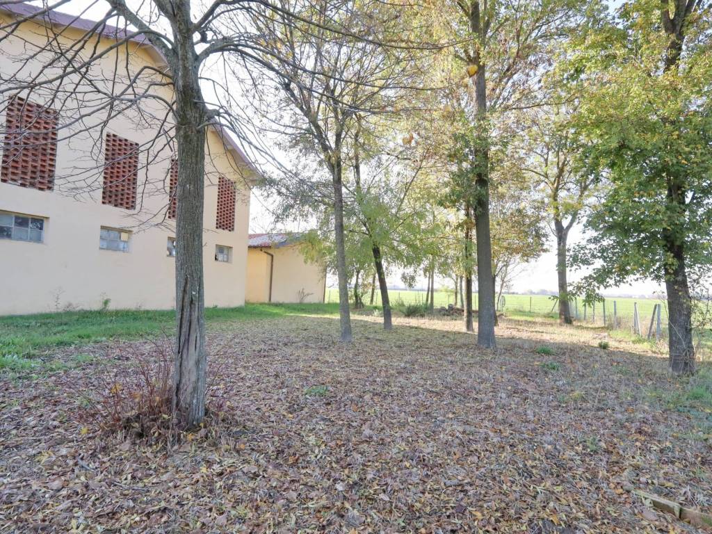 Villa a San felice sul panaro in Via Bosco - Foto 4