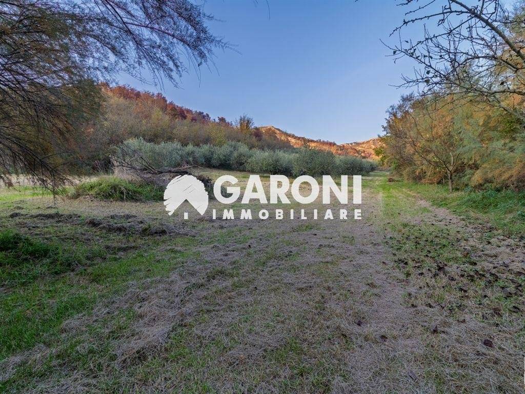 Rustico / casale a Brisighella - Foto 4