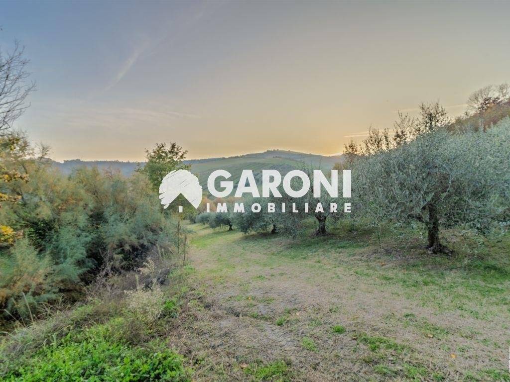 Rustico / casale a Brisighella - Foto 5