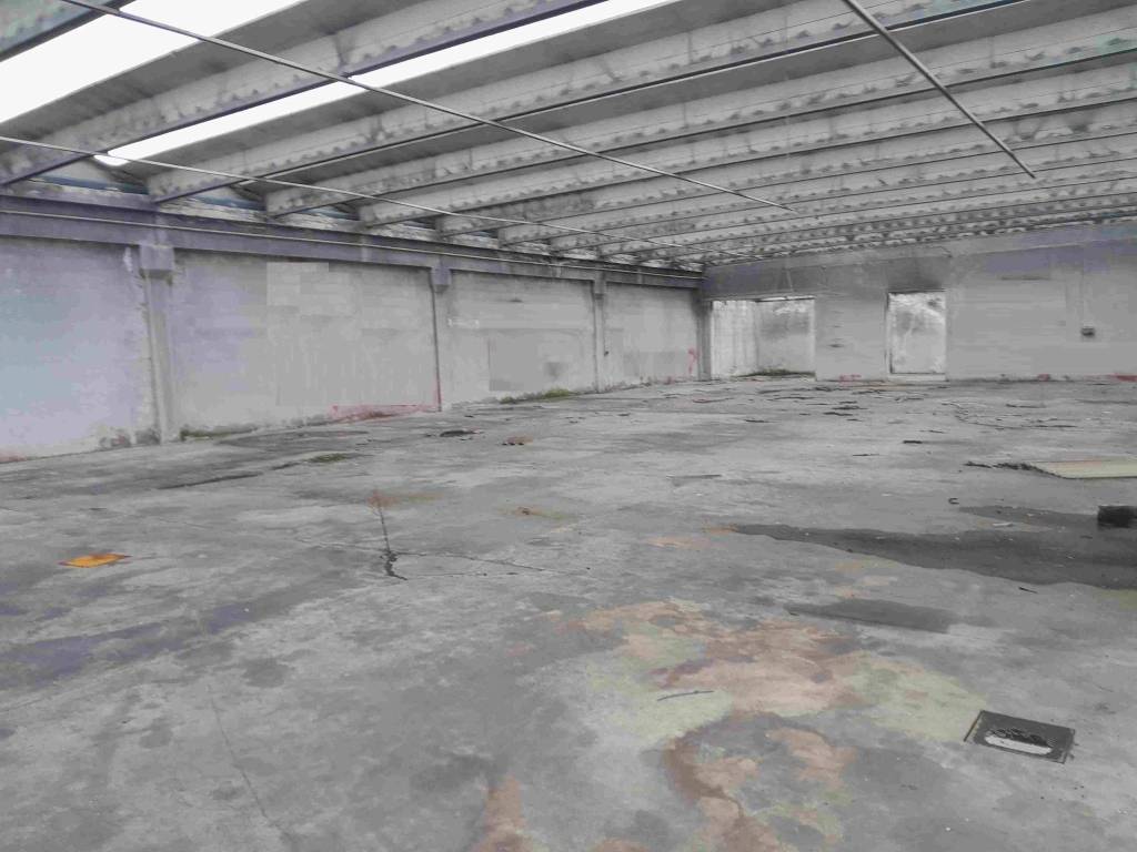 Immobile a Cerea in Via Ronchiel - Foto 3