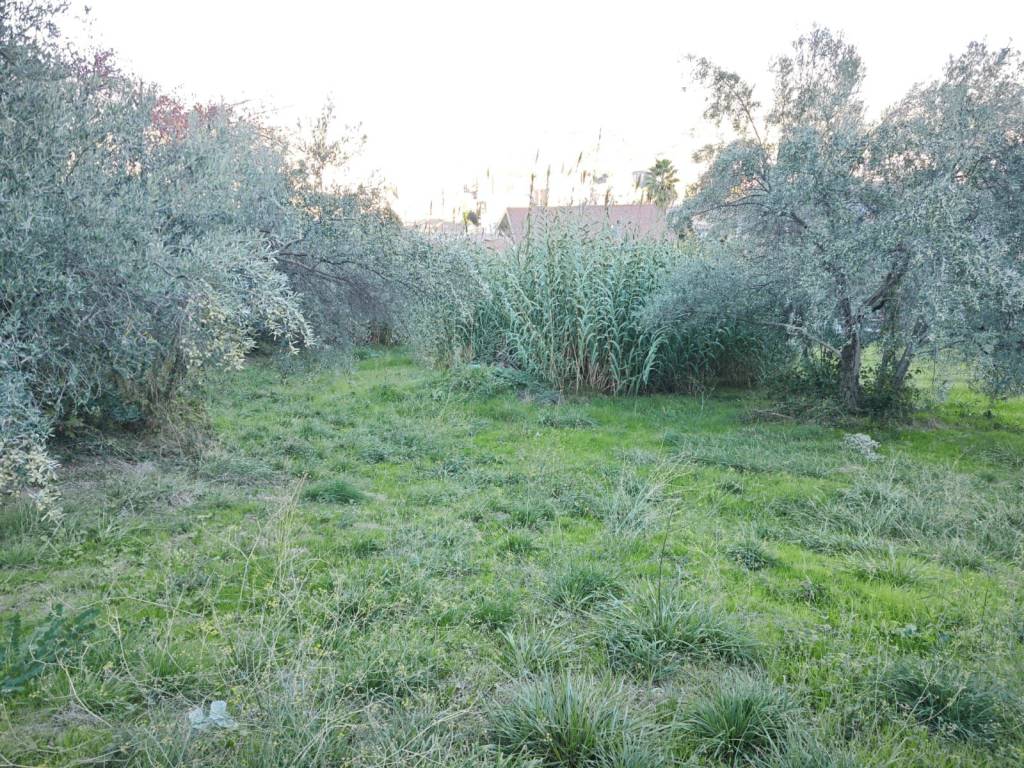 Terreno a Rende in Via Raffaello Sanzio - Foto 2