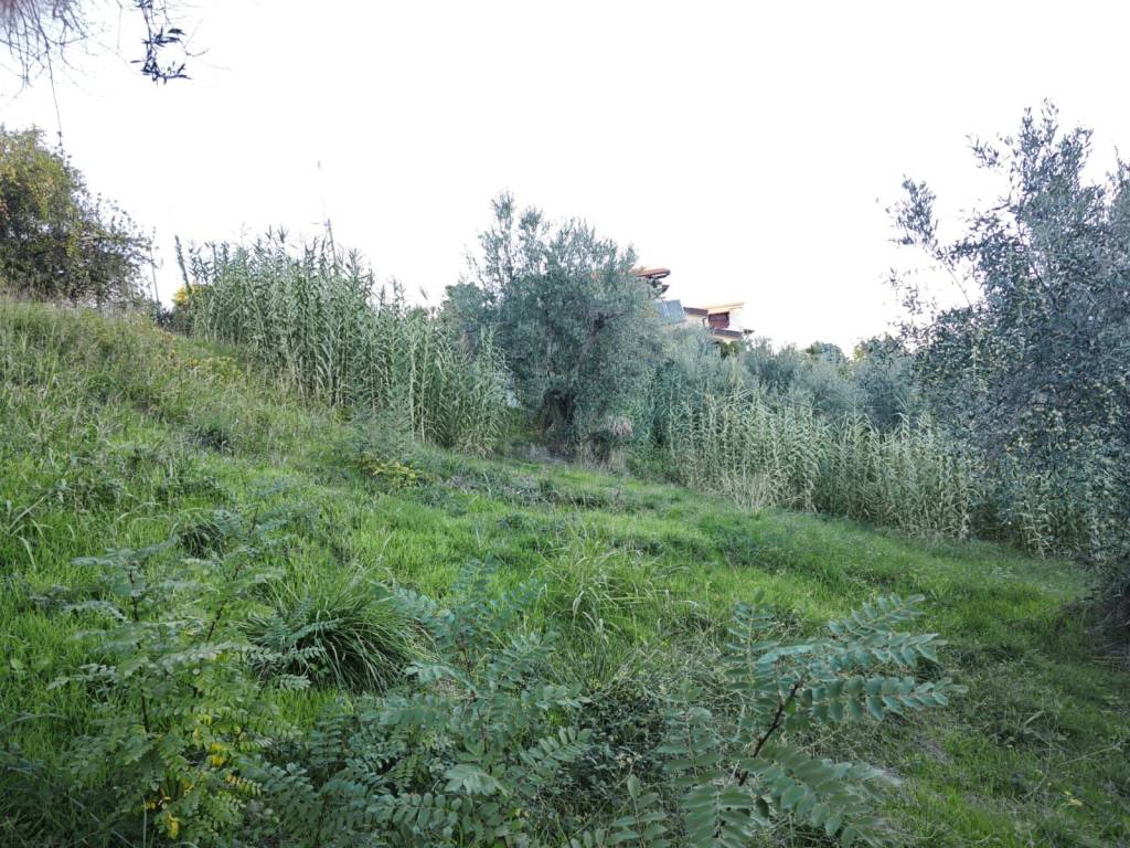 Terreno a Rende in Via Raffaello Sanzio - Foto 4