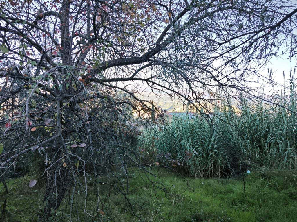 Terreno a Rende in Via Raffaello Sanzio - Foto 5