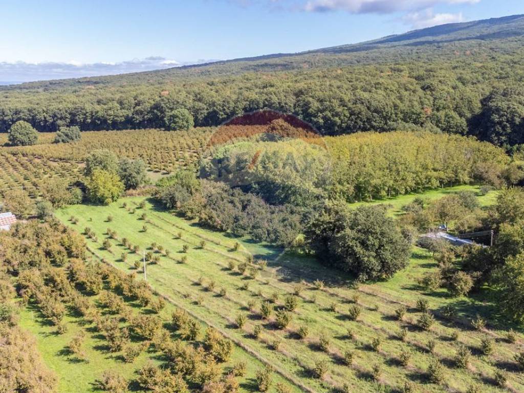 Terreno a Vetralla - Foto 2