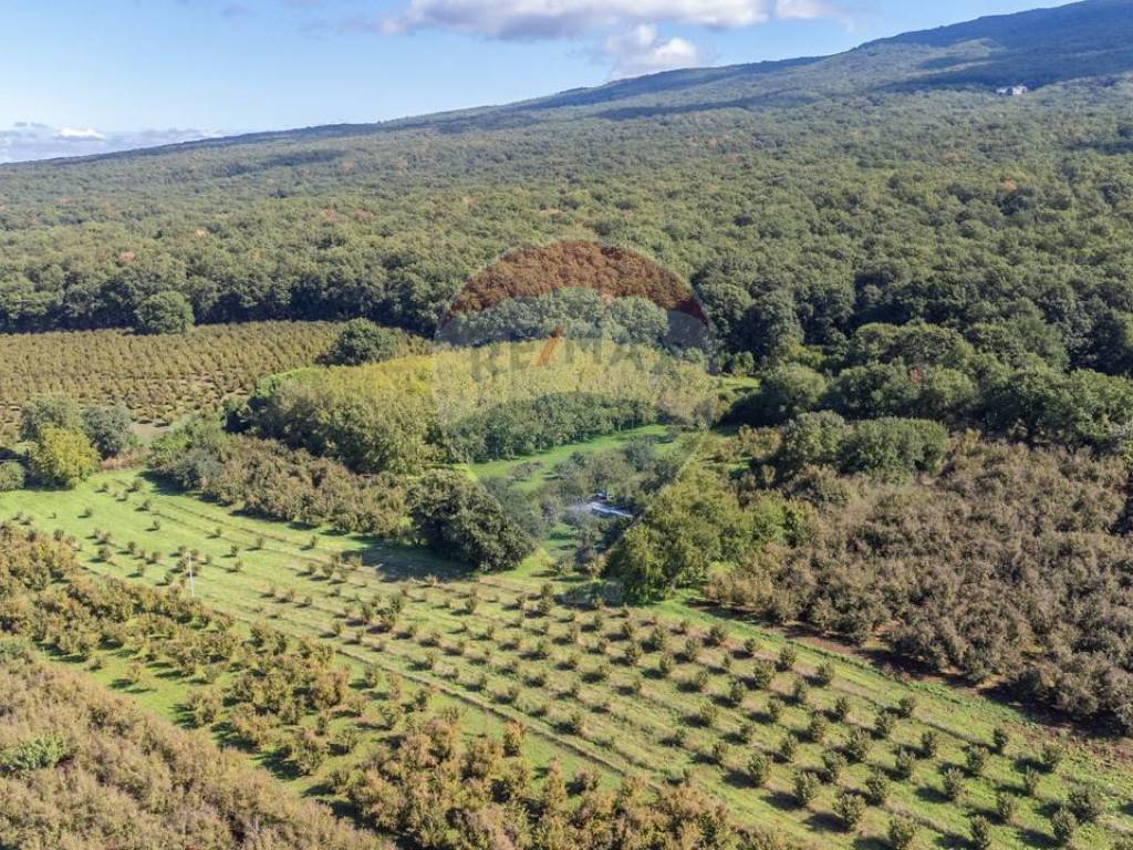 Terreno a Vetralla - Foto 3