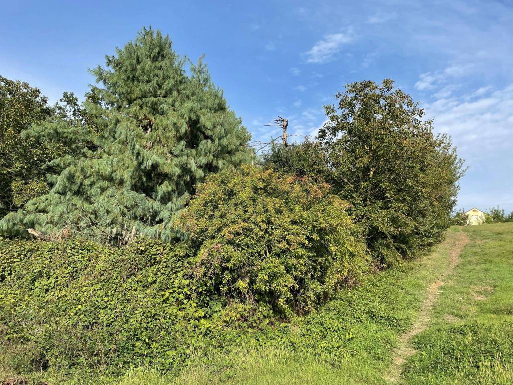 Terreno a Valenza in Strada Molinello Gazzolo - Foto 2