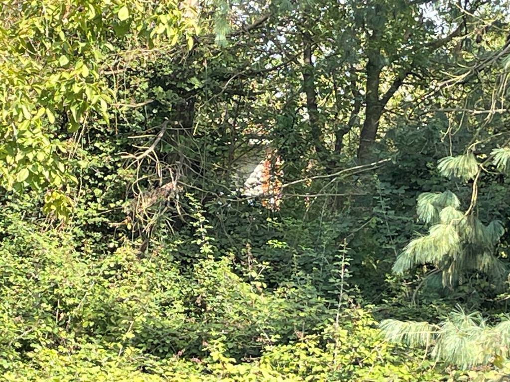 Terreno a Valenza in Strada Molinello Gazzolo - Foto 3