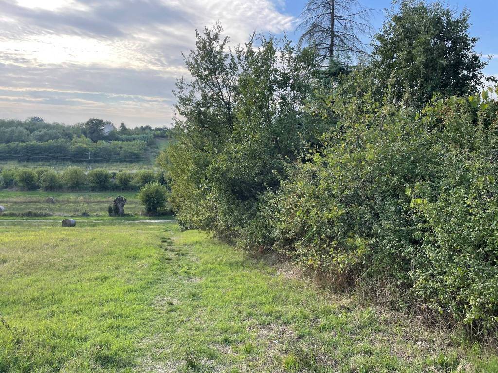 Terreno a Valenza in Strada Molinello Gazzolo - Foto 4