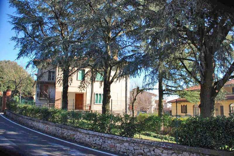 Terreno a Torrita di siena - Foto 2