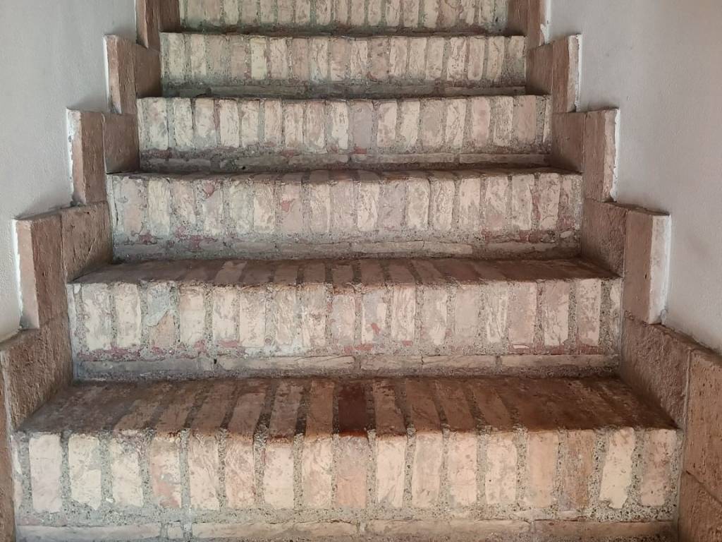 Rustico / casale a Fauglia in Via per Pagliana - Foto 3