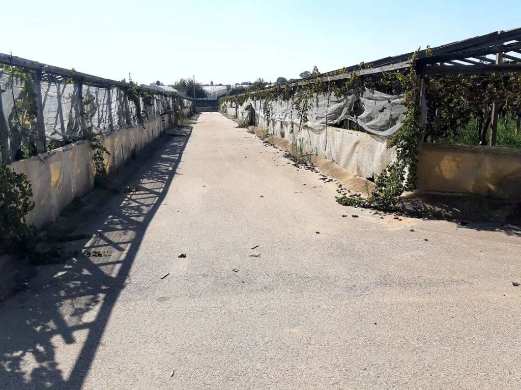 Terreno a Vittoria - Foto 2