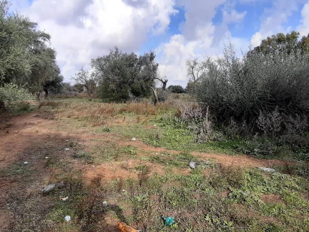 Terreno a Vittoria in Strada Provinciale 5, 2 - Foto 4