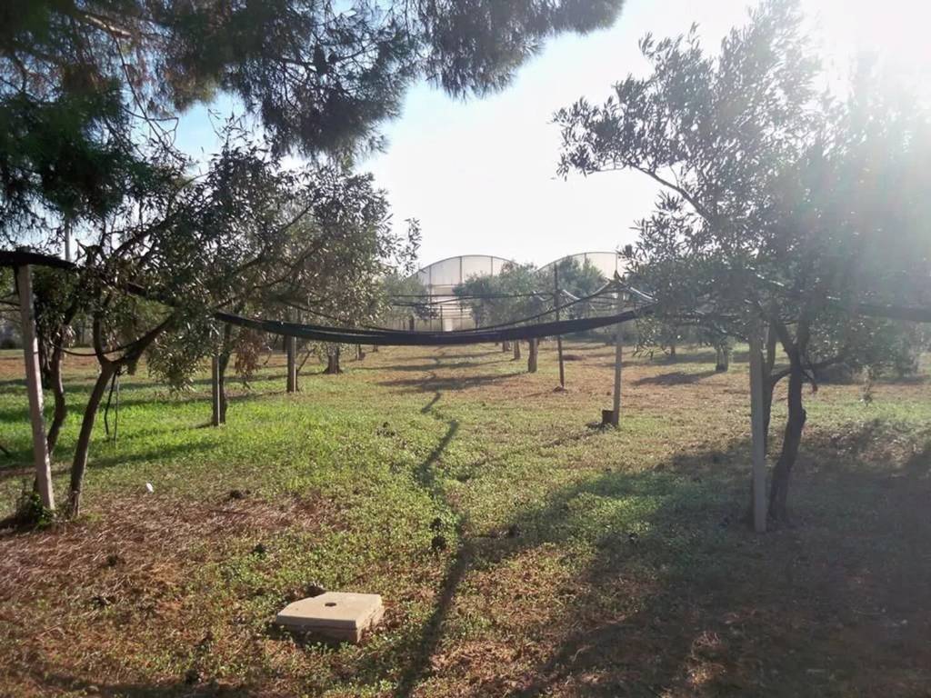 Villa a Vittoria in Contrada Coltello No Number - Foto 5