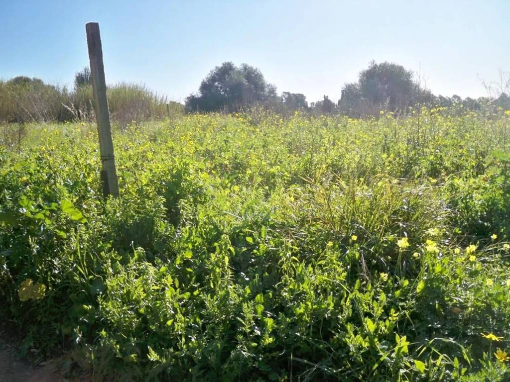 Villa a Ragusa - Foto 3