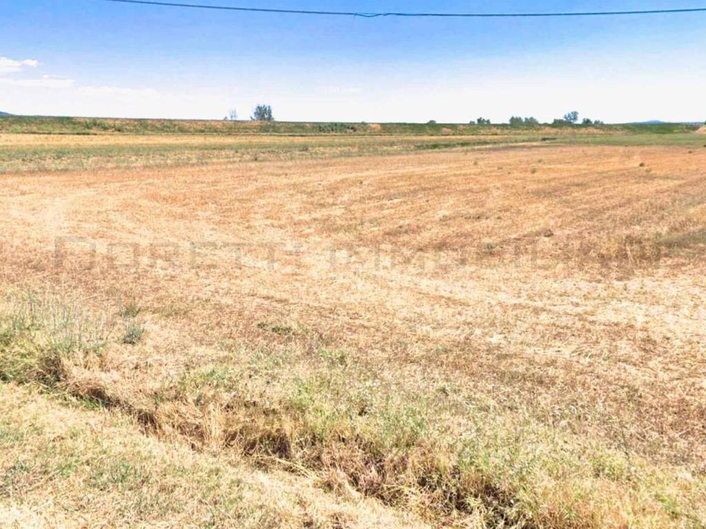 Terreno a Castiglione della pescaia in Strada Comunale di Piatto Lavato - Foto 4