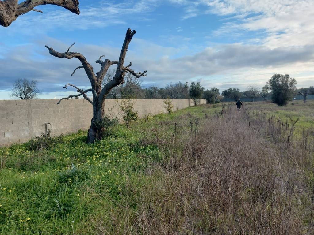 Terreno a Lizzanello - Foto 3