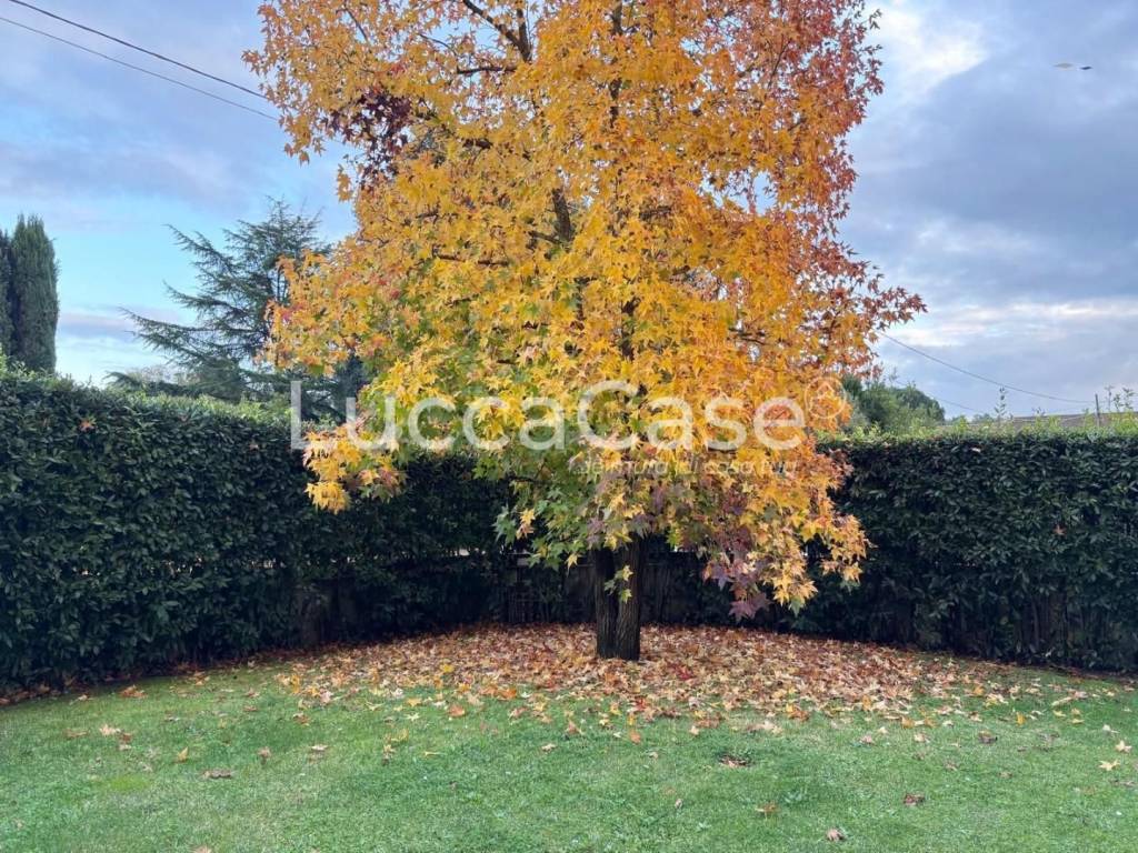 Villetta a schiera a Porcari in Via Sbarra, , 204 - Foto 3