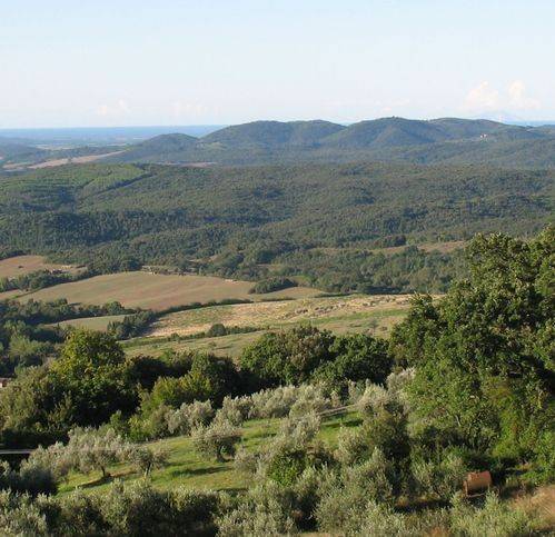 Appartamento a Monteverdi marittimo in Via Iv Novembre - Foto 5