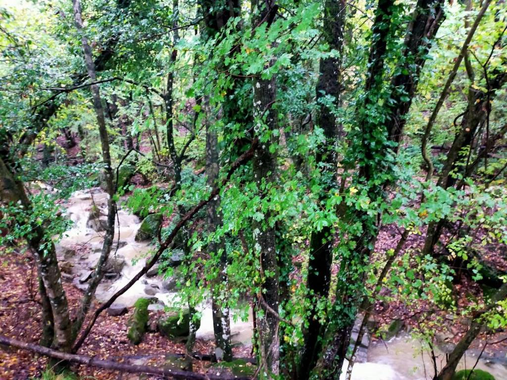 Rustico / casale a Scarperia e san piero in Via del Giogo - Foto 5