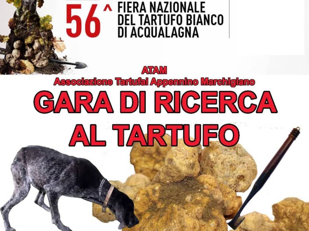 Terreno a Acqualagna in Via Bellaria - Foto 4